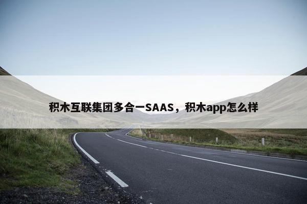 积木互联集团多合一SAAS，积木app怎么样