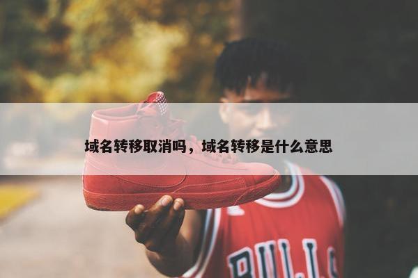 域名转移取消吗，域名转移是什么意思