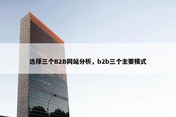 选择三个B2B网站分析，b2b三个主要模式