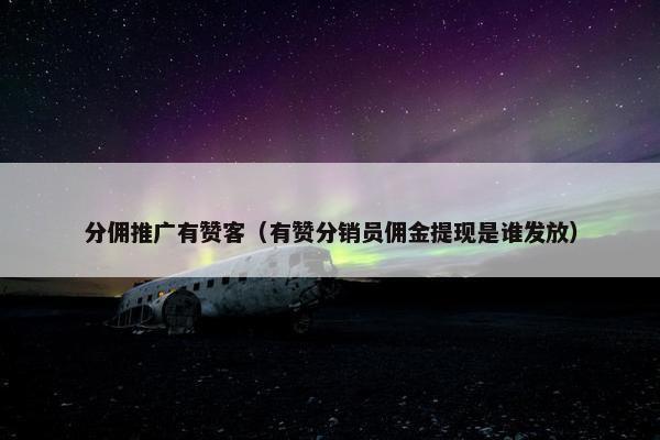 分佣推广有赞客（有赞分销员佣金提现是谁发放）