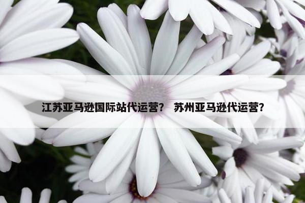 江苏亚马逊国际站代运营？ 苏州亚马逊代运营？