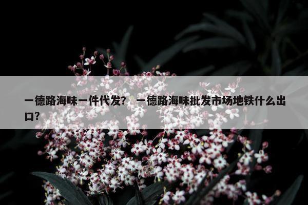 一德路海味一件代发？ 一德路海味批发市场地铁什么出口？
