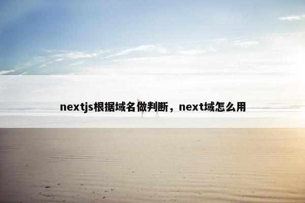 nextjs根据域名做判断，next域怎么用