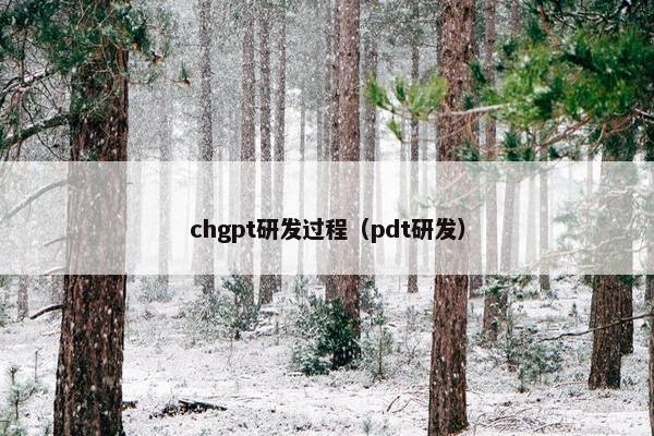chgpt研发过程(pdt研发)