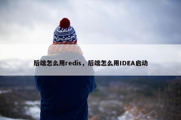 后端怎么用redis，后端怎么用IDEA启动