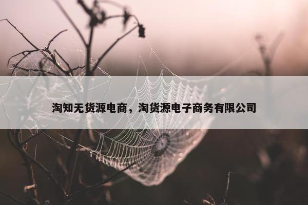 淘知无货源电商，淘货源电子商务有限公司