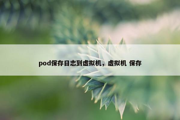pod保存日志到虚拟机，虚拟机 保存