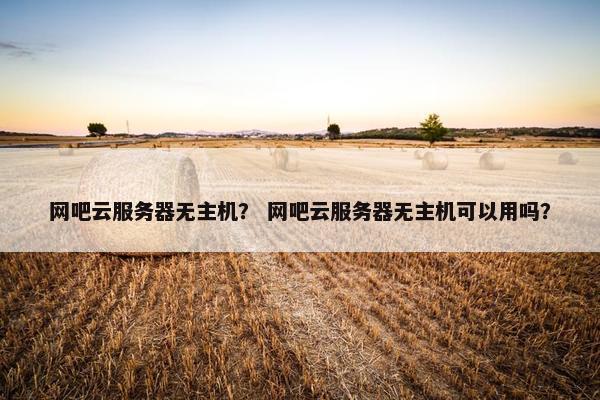 网吧云服务器无主机？ 网吧云服务器无主机可以用吗？