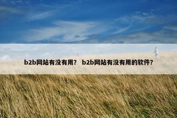 b2b网站有没有用？ b2b网站有没有用的软件？