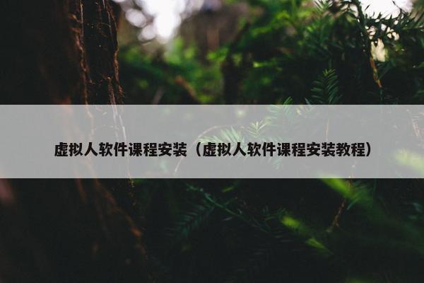 虚拟人软件课程安装（虚拟人软件课程安装教程）