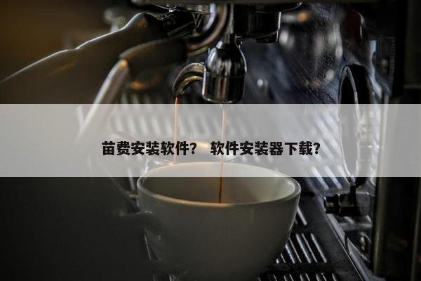 苗费安装软件？ 软件安装器下载？