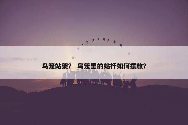鸟笼站架？ 鸟笼里的站杆如何摆放？