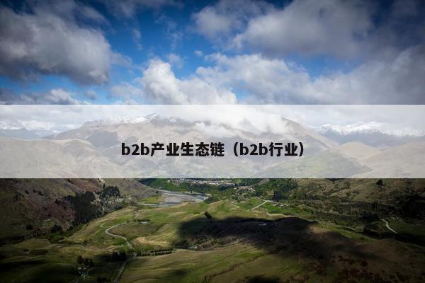 b2b产业生态链（b2b行业）