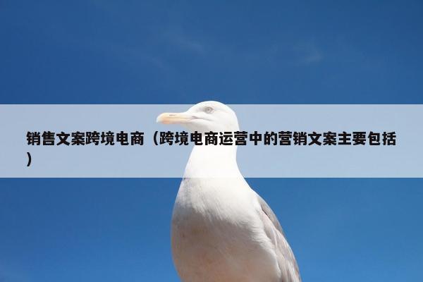 销售文案跨境电商(跨境电商运营中的营销文案主要包括)