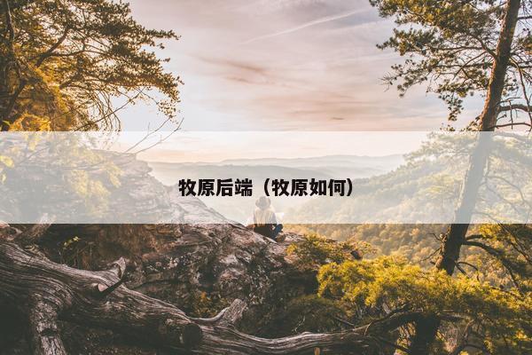 牧原后端（牧原如何）