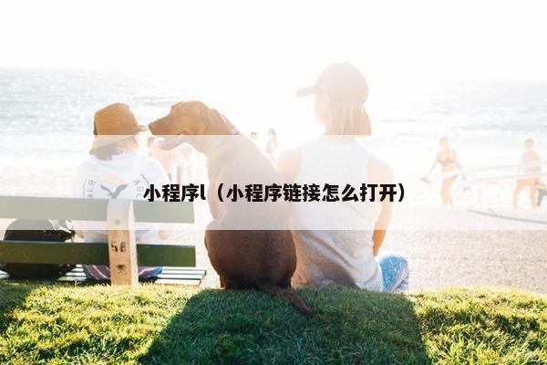 小程序l（小程序链接怎么打开）