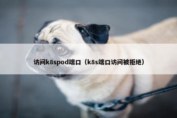 访问k8spod端口(k8s端口访问被拒绝)
