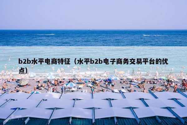 b2b水平电商特征（水平b2b电子商务交易平台的优点）