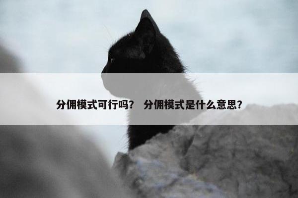 分佣模式可行吗？ 分佣模式是什么意思？