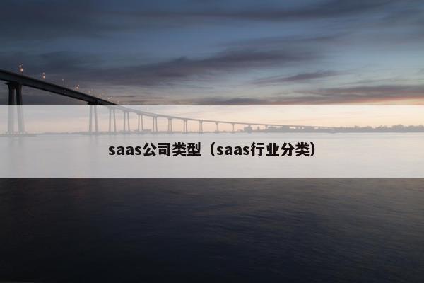 saas公司类型(saas行业分类)
