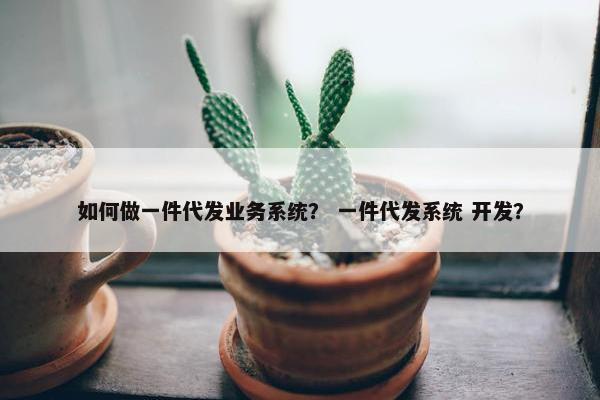 如何做一件代发业务系统? 一件代发系统 开发?