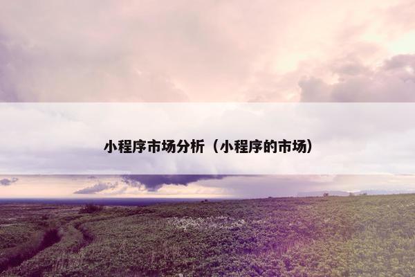 小程序市场分析（小程序的市场）