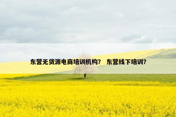 东营无货源电商培训机构？ 东营线下培训？