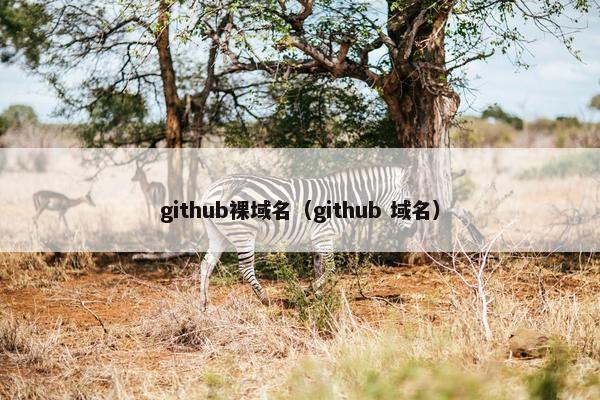 github裸域名（github 域名）