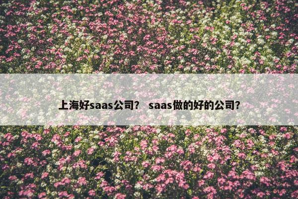 上海好saas公司？ saas做的好的公司？