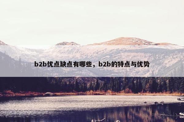 b2b优点缺点有哪些，b2b的特点与优势