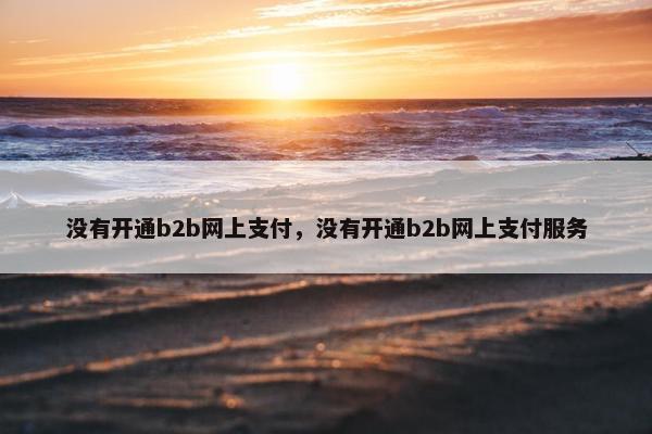 没有开通b2b网上支付，没有开通b2b网上支付服务