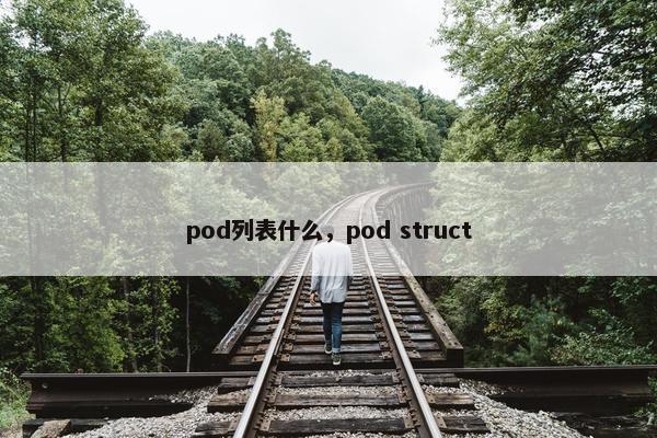 pod列表什么,pod struct