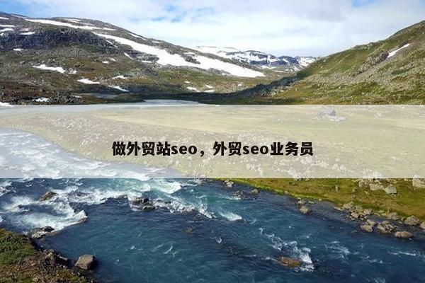 做外贸站seo，外贸seo业务员