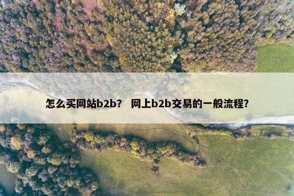 怎么买网站b2b？ 网上b2b交易的一般流程？