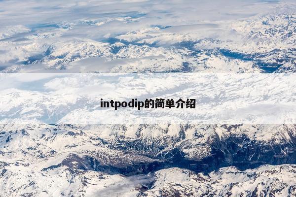 intpodip的简单介绍