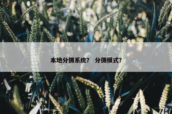 本地分佣系统? 分佣模式?