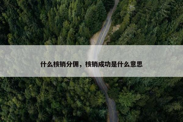 什么核销分佣,核销成功是什么意思