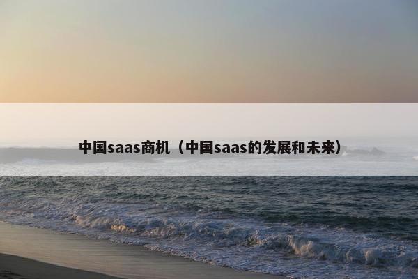 中国saas商机(中国saas的发展和未来)