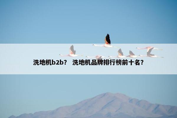 洗地机b2b？ 洗地机品牌排行榜前十名？