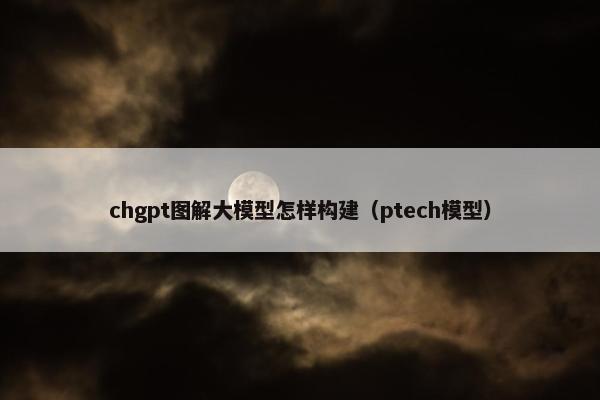 chgpt图解大模型怎样构建(ptech模型)