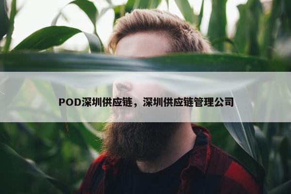 POD深圳供应链,深圳供应链管理公司