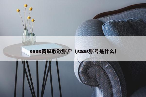 saas商城收款账户(saas账号是什么)