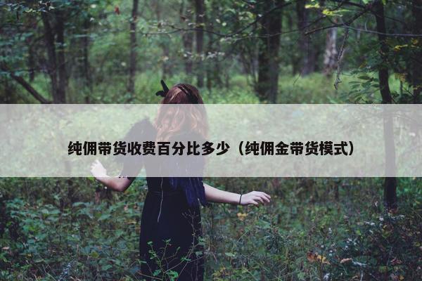 纯佣带货收费百分比多少(纯佣金带货模式)