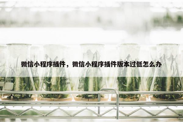 微信小程序插件，微信小程序插件版本过低怎么办