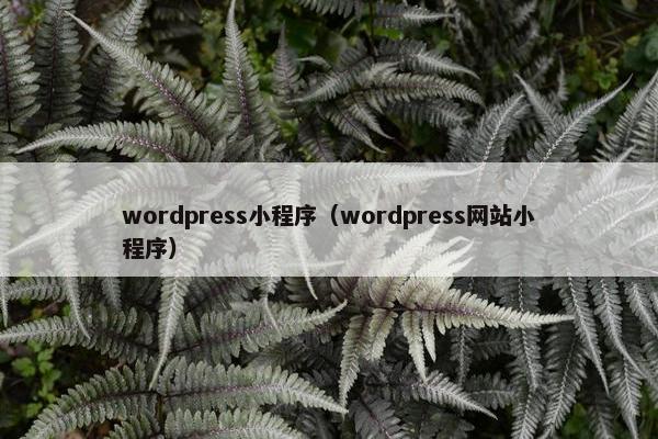 wordpress小程序（wordpress网站小程序）