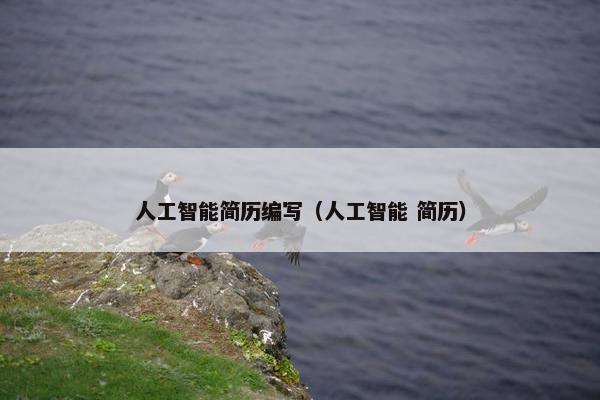 人工智能简历编写（人工智能 简历）