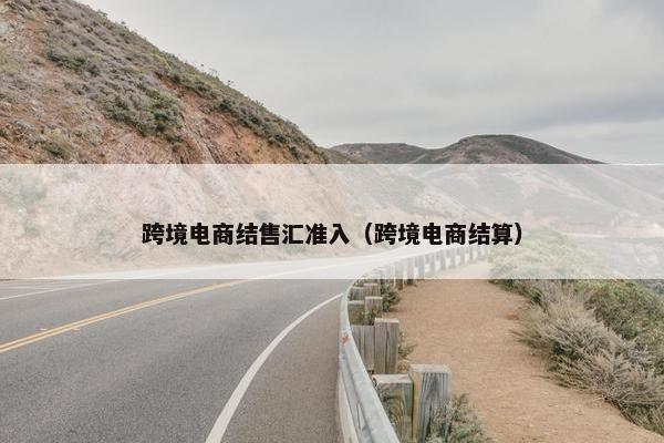 跨境电商结售汇准入（跨境电商结算）