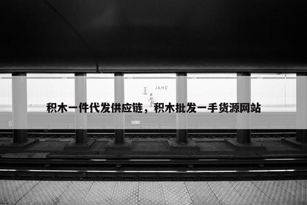 积木一件代发供应链,积木批发一手货源网站