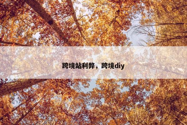 跨境站利弊，跨境diy