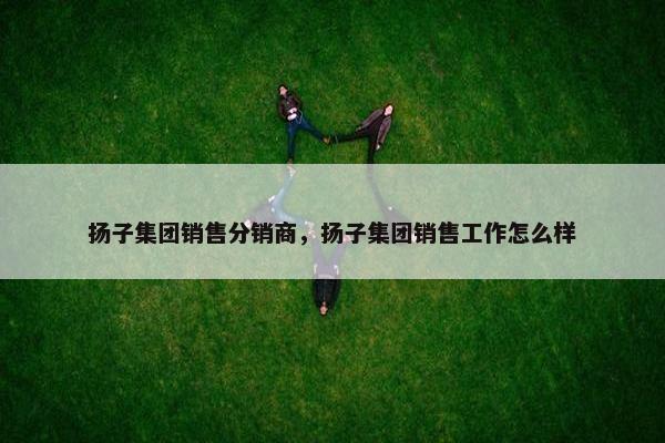 扬子集团销售分销商，扬子集团销售工作怎么样